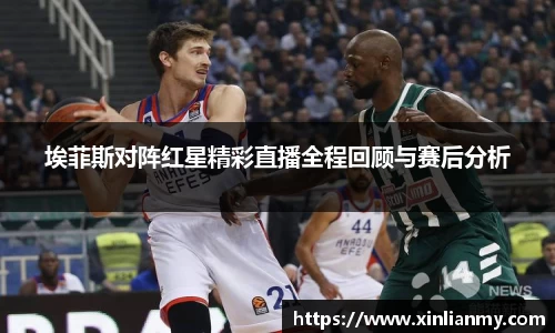 zoty中欧