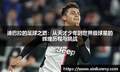 zoty中欧官方网站