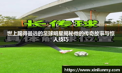 zoty中欧有限公司